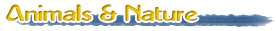Animals And Nature