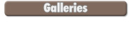 Content Galleries